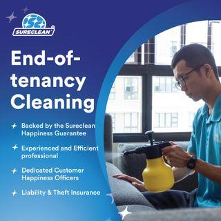 Professional End-of-tenancy Cleaning