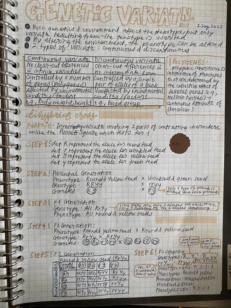 Secondary 4 RGS Biology Notes, Hobbies & Toys, Stationery & Craft ...