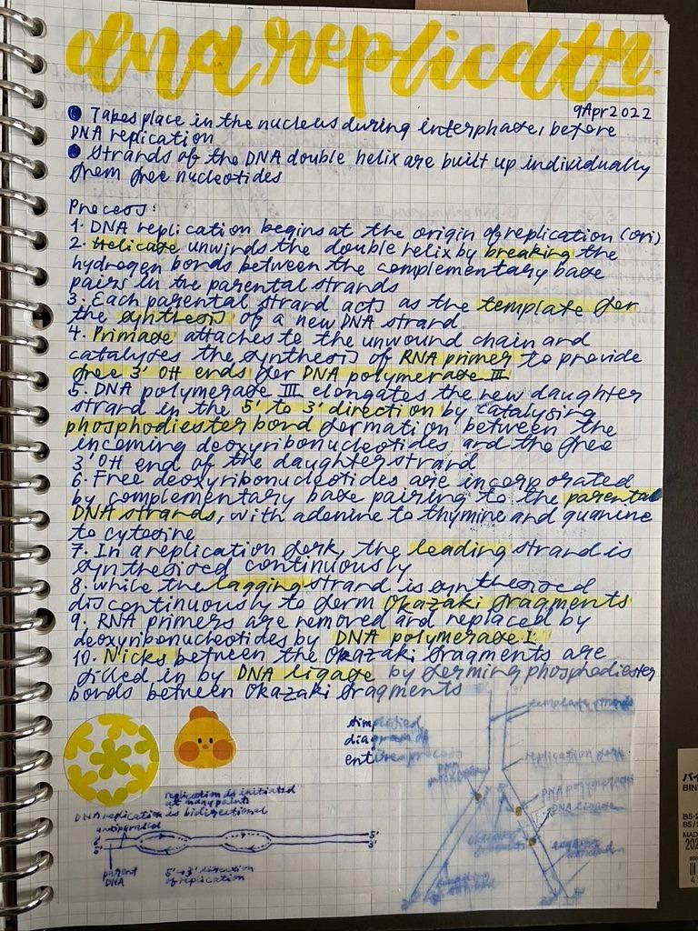 Secondary 4 RGS Biology Notes, Hobbies & Toys, Stationery & Craft ...