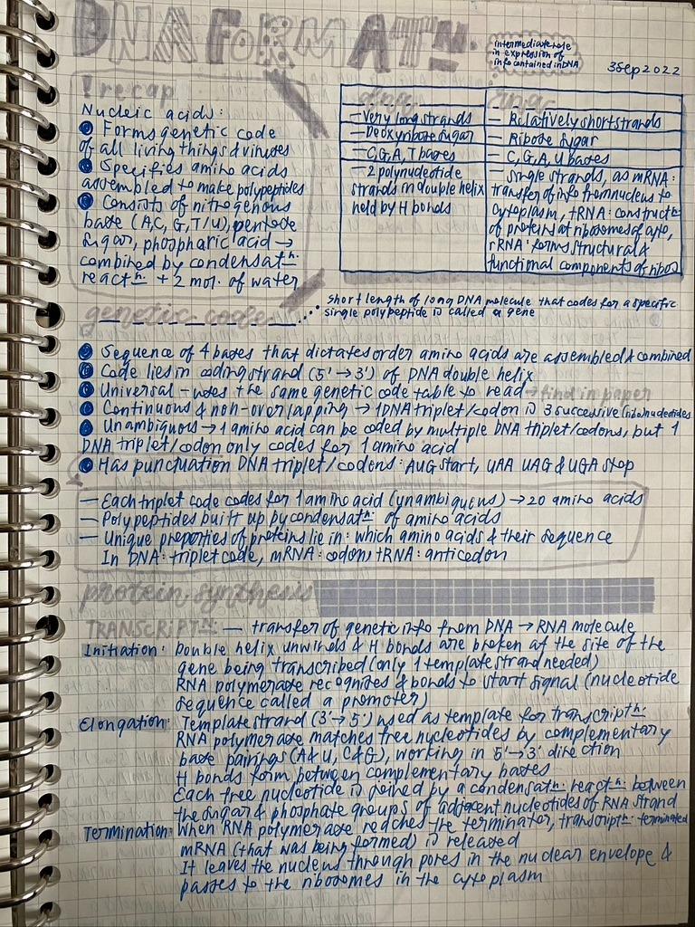 Secondary 4 RGS Biology Notes, Hobbies & Toys, Stationery & Craft ...
