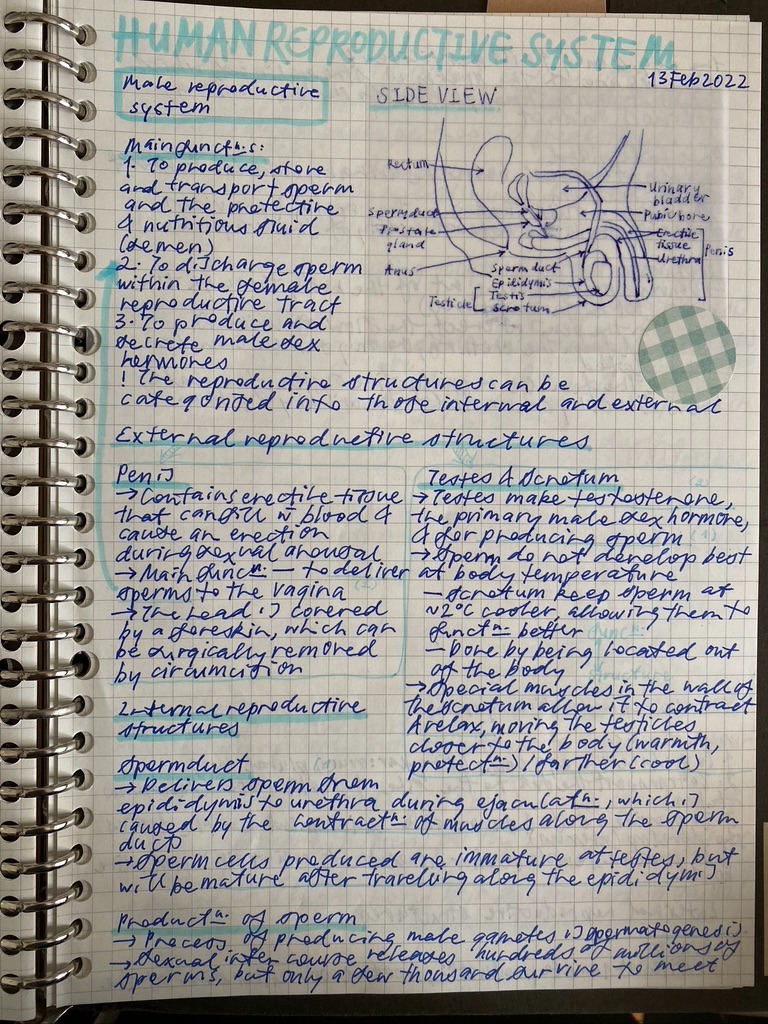Secondary 4 RGS Biology Notes, Hobbies & Toys, Stationery & Craft ...