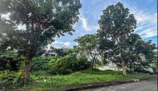 YS 456 sqm Residential Lot for Sale in Havila Township, Antipolo City