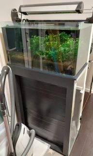 （分類：）位於 。 由 andychan5050 提交（商品編號 1190099858，圖片 1）。簡介： 。
