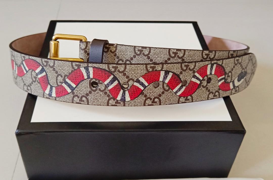 Gucci supreme belt snake new arrivals