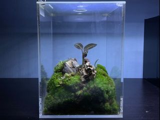 (Category: ) located in . Submitted by chuary_pt (Listing ID 1190040362, Image 1). Description: .