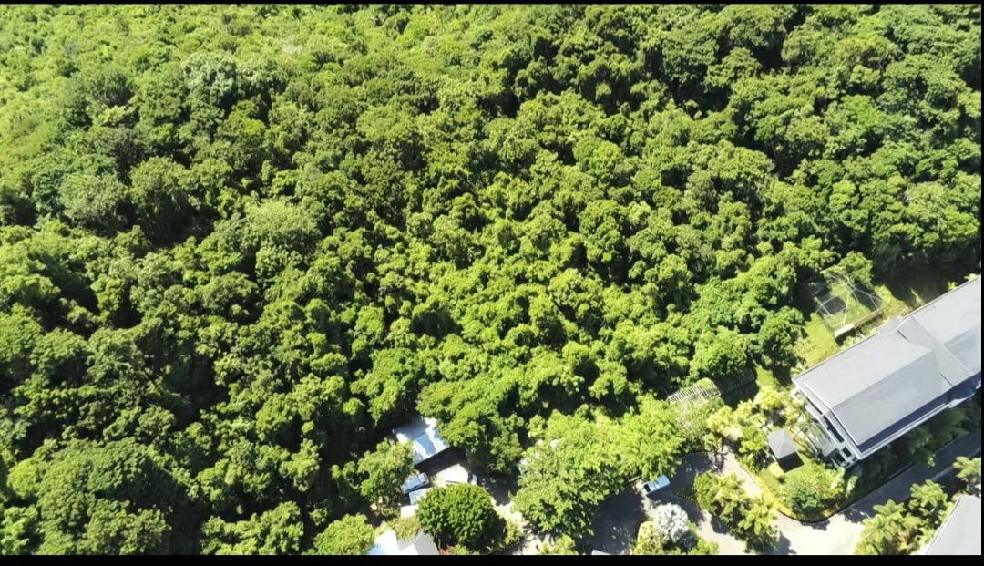 For Sale 1 Hectare Lot near Alta Vista Boracay, Property, For Sale