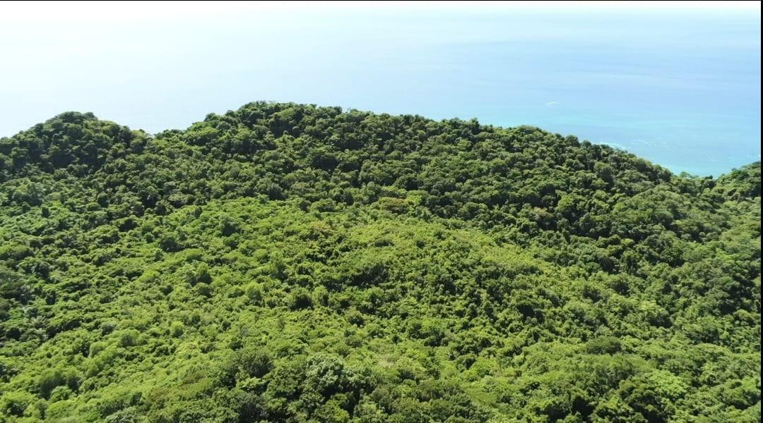 For Sale 1 Hectare Lot near Alta Vista Boracay, Property, For Sale