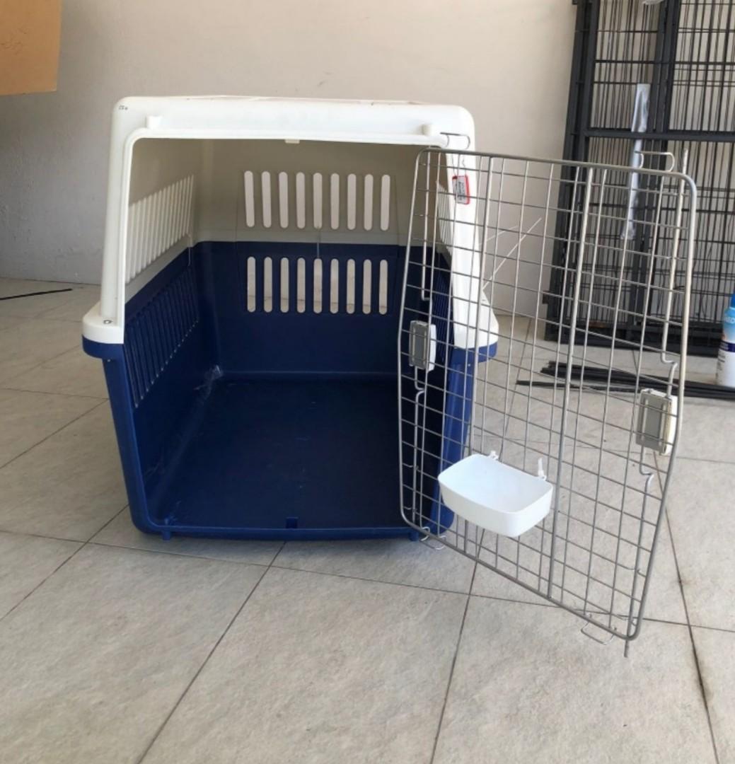 Large IATA approved dog crate, Pet Supplies, Homes & Other Pet