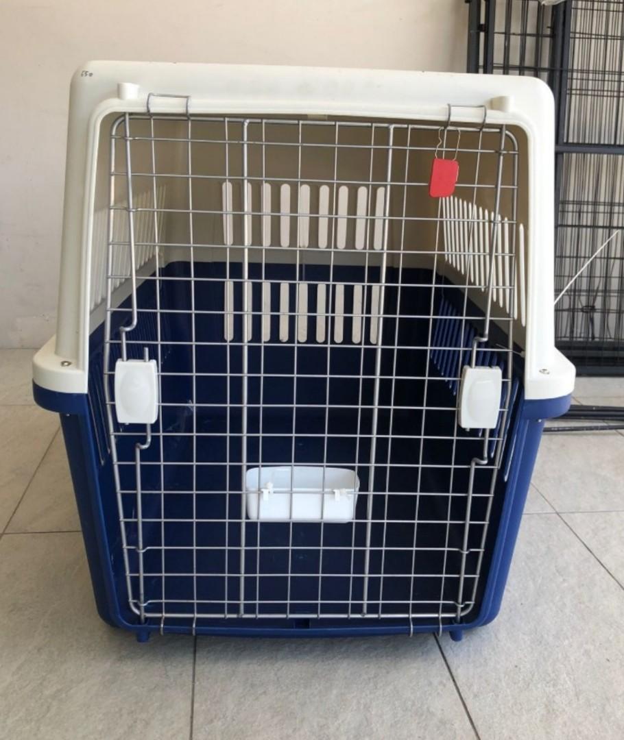 Large IATA approved dog crate, Pet Supplies, Homes & Other Pet