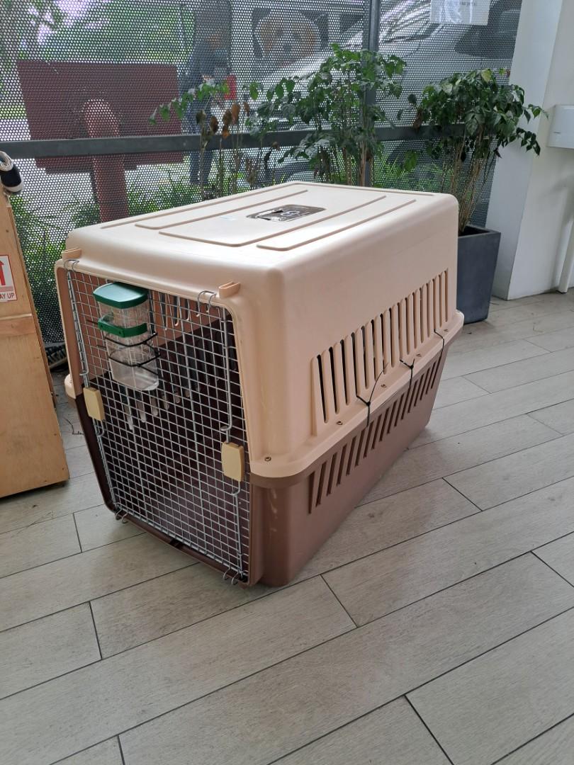 Large IATA approved dog crate, Pet Supplies, Homes & Other Pet