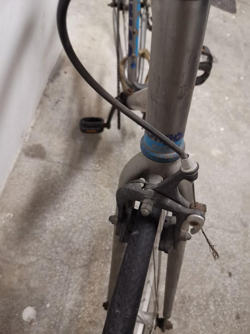 Mongoose fixie with front v brake and back costal brake, Sports