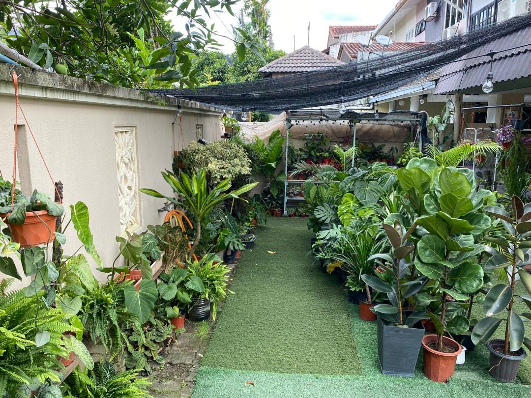 Plant nursery in Ampang Jaya, Furniture & Home Living, Gardening