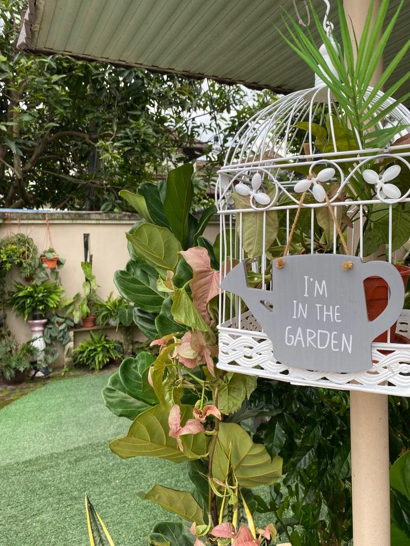 Plant nursery in Ampang Jaya, Furniture & Home Living, Gardening