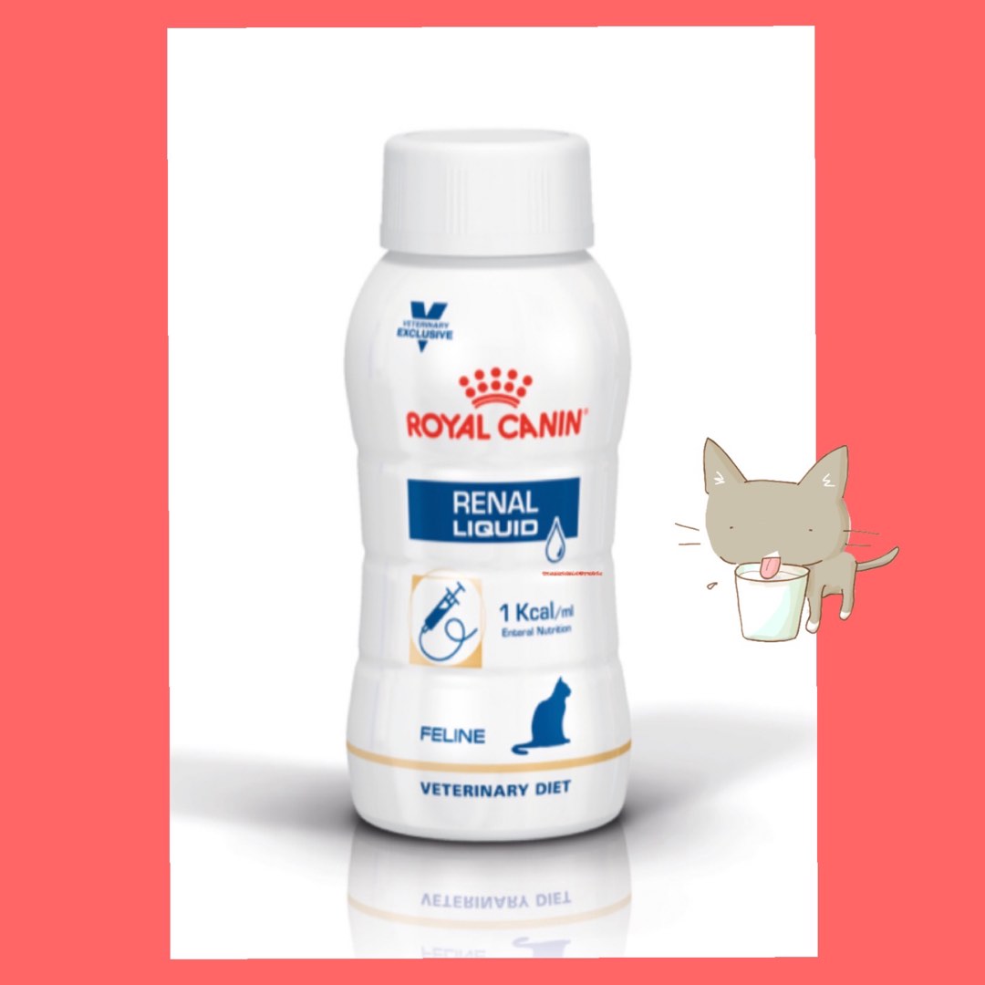 Royal Canin Renal liquid for cats