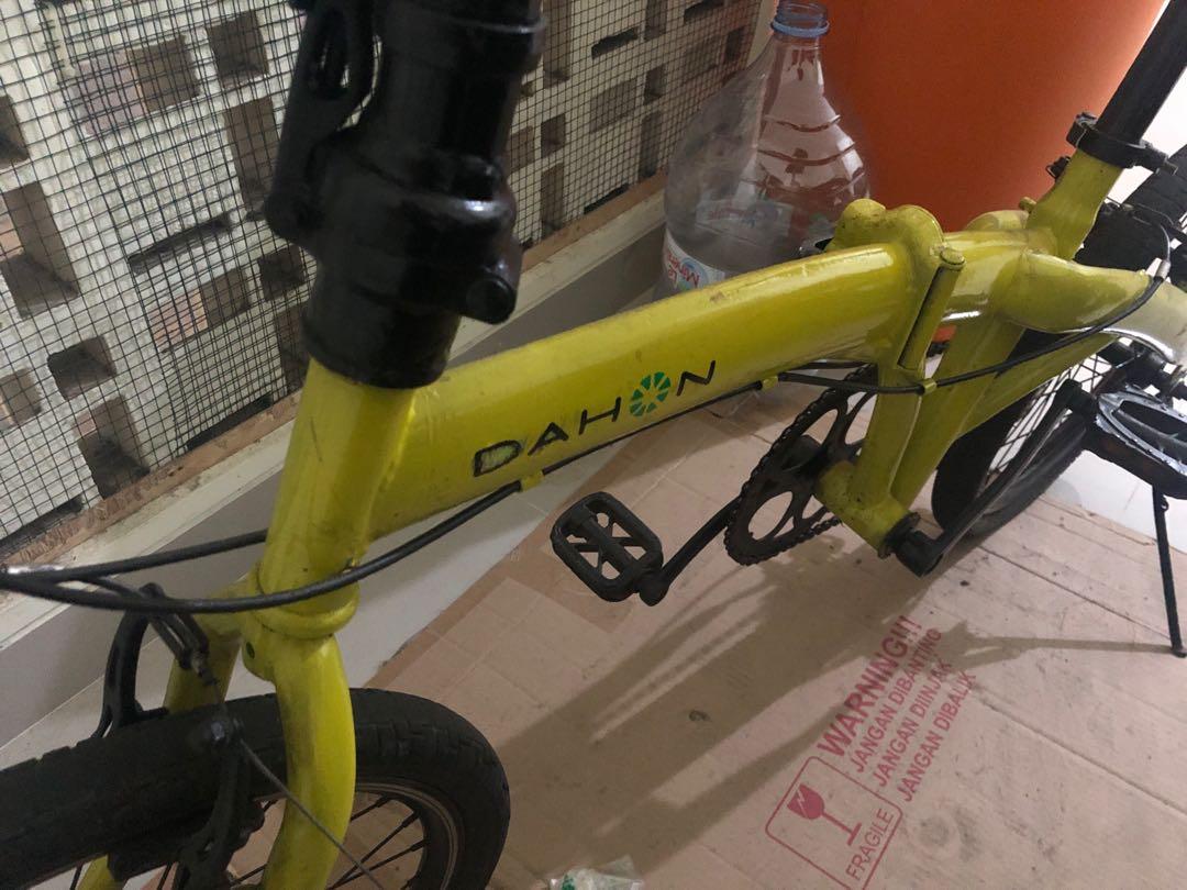 decal dahon