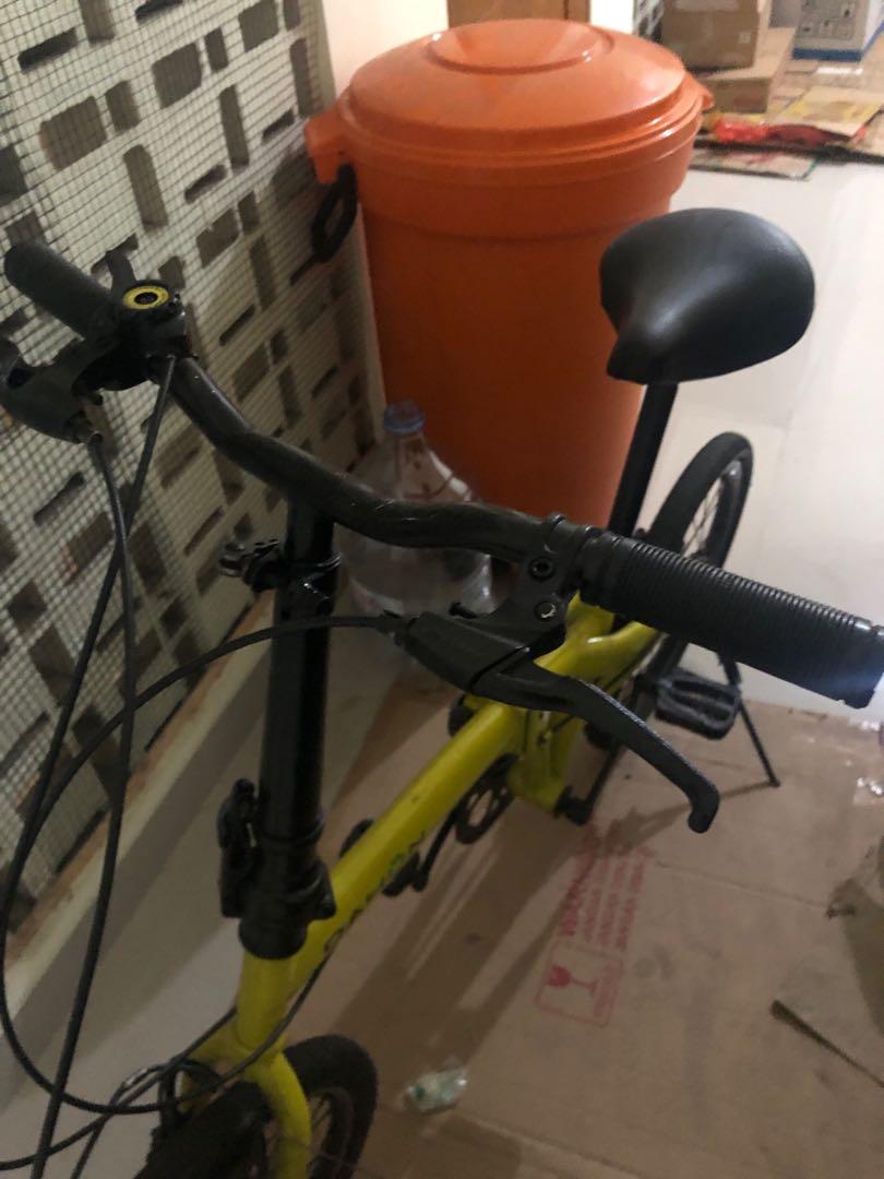 decal dahon