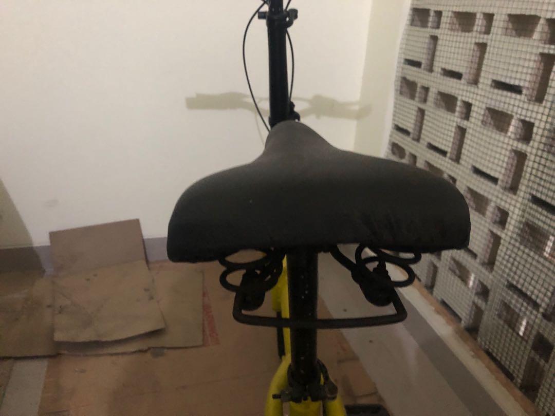 decal dahon