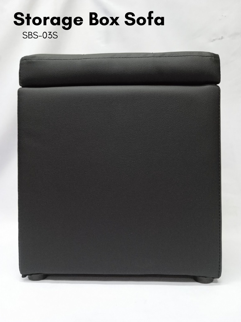 Storage Box Sofa SBS03S (Short), Furniture & Home Living, Furniture