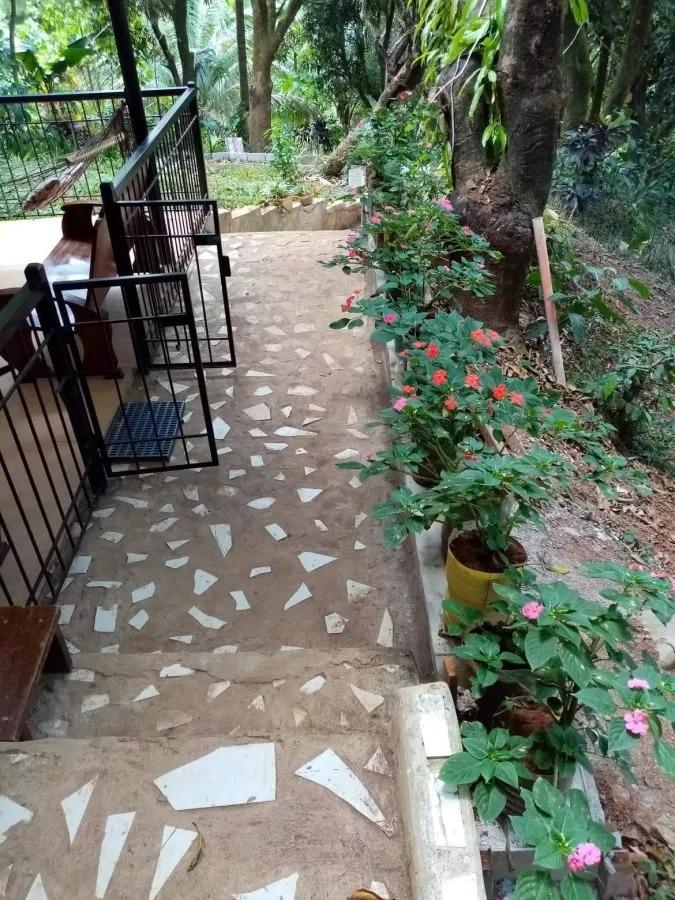 Tanay (Sampaloc) Farm for Sale with House 4,200SQM (19M) Nego (Owner