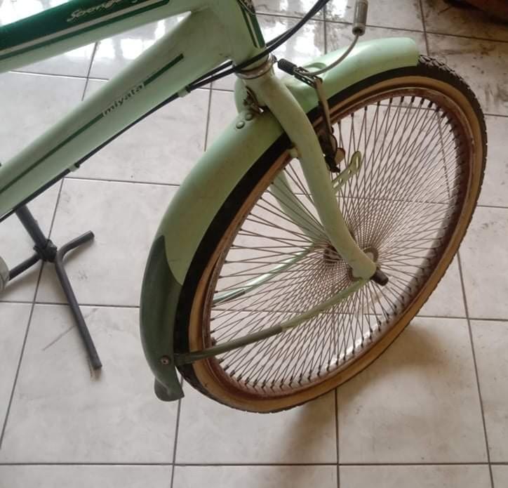 vintage bike green