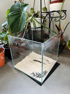 (Category: ) located in . Submitted by ericpabustan (Listing ID 1190171277, Image 1). Description: .