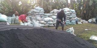 Garden soil, loam soil, carbonized Rice Hull