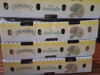 Hass Avocadoes