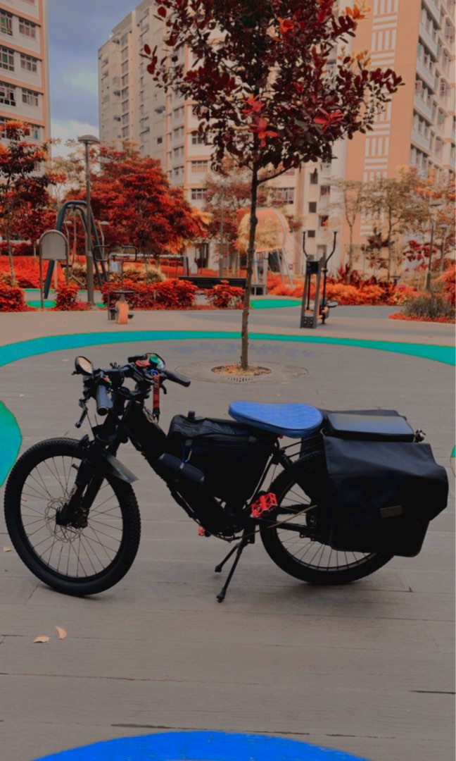 zebra ebike manual