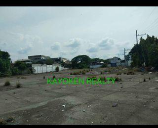 2400sqm Commercial Lot Paranaque for lease