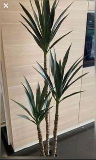 Artificial plants