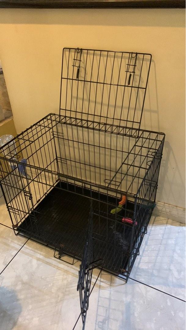 Collapsible Dog Cage, Pet Supplies, Homes & Other Pet Accessories on