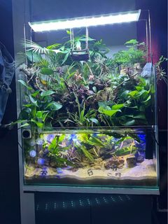 (Category: ) located in . Submitted by dkittystore (Listing ID 1190399569, Image 1). Description: .