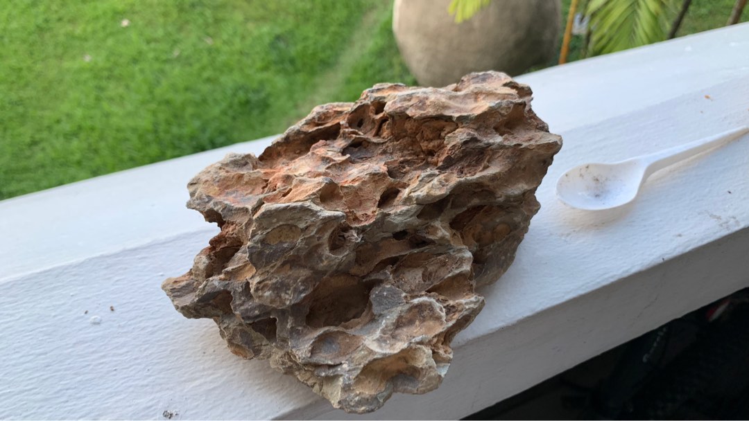 Dragon rock/ Dragon stone, Furniture & Home Living, Gardening