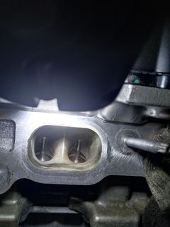 (Category: ) located in . Submitted by prolineautowerks (Listing ID 1190484285, Image 1). Description: .