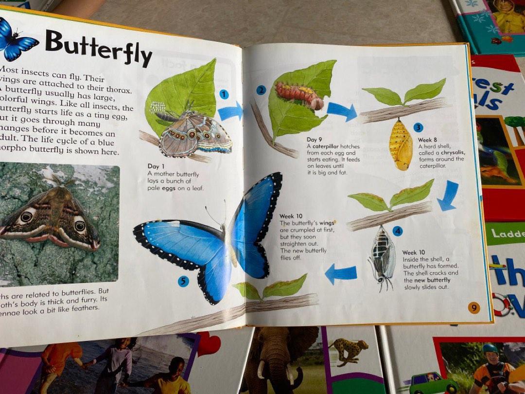 Learning ladders books for children, Hobbies & Toys, Books & Magazines