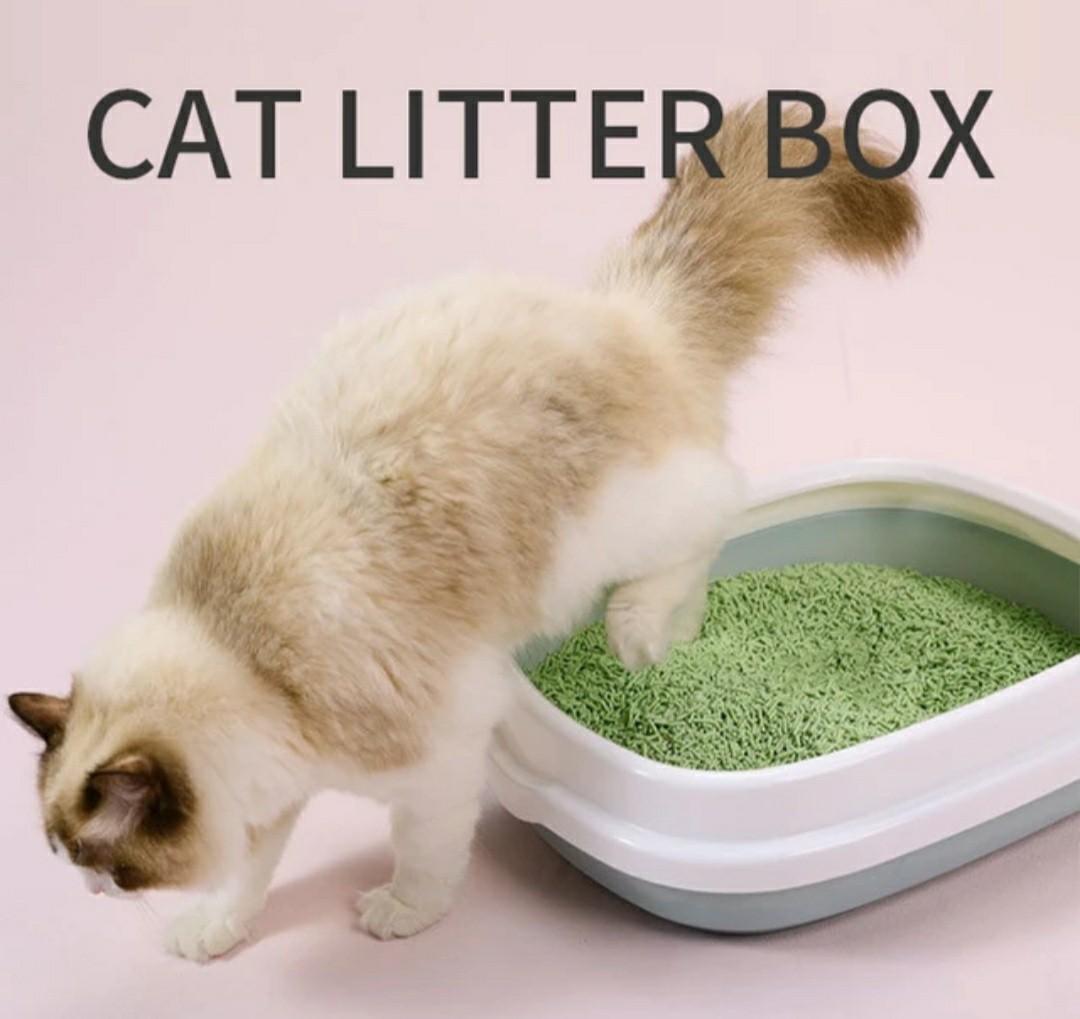 Medium Cat Kitten sandbox litter sand FREE Scoop can put inside cat