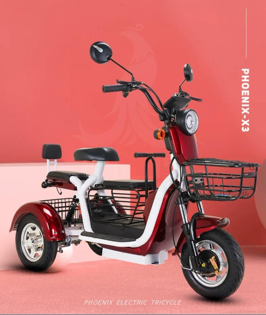 MULTIPLE VARIATIONS Electric tricycle household small elderly pick up