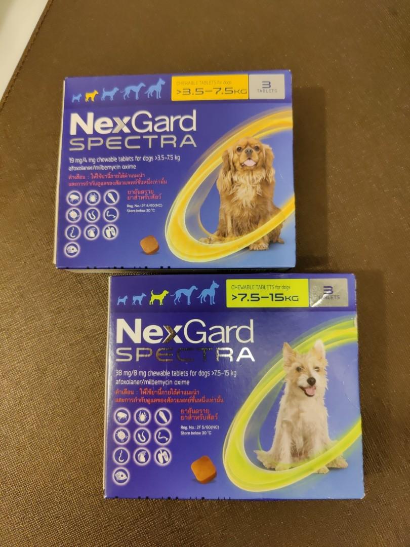 Nexgard spectra 19 mg top