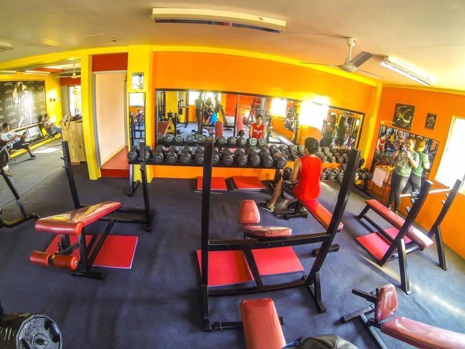 PRO GYM EQUIPMENTS FOR SALE, Sports Equipment, Exercise & Fitness