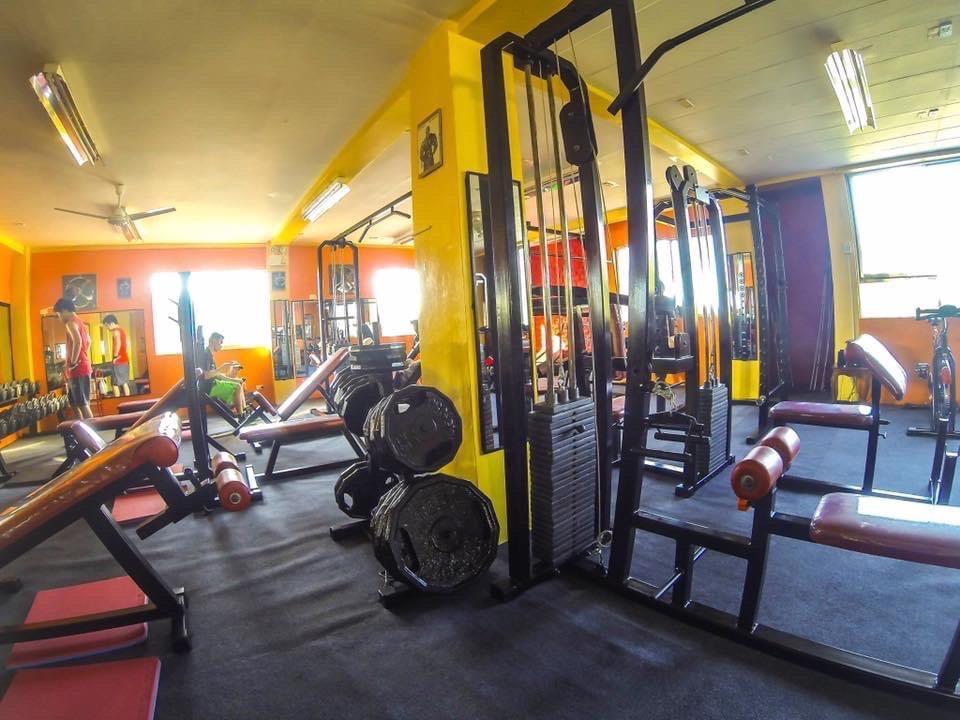 PRO GYM EQUIPMENTS FOR SALE, Sports Equipment, Exercise & Fitness