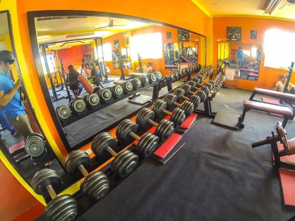PRO GYM EQUIPMENTS FOR SALE, Sports Equipment, Exercise & Fitness