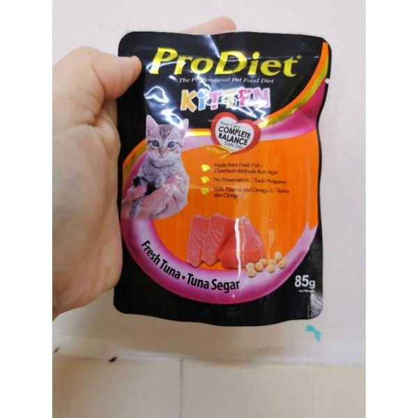 Pro diet kitten food clearance
