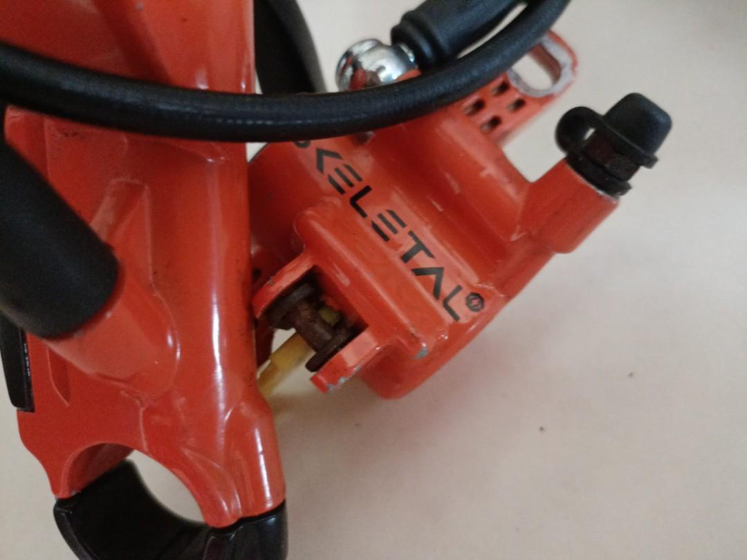 skeletal brakes