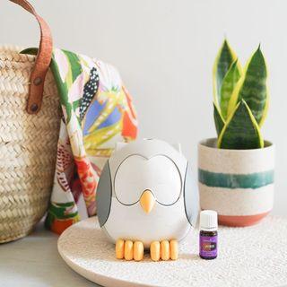 Young Living Feather the Owl Diffuser