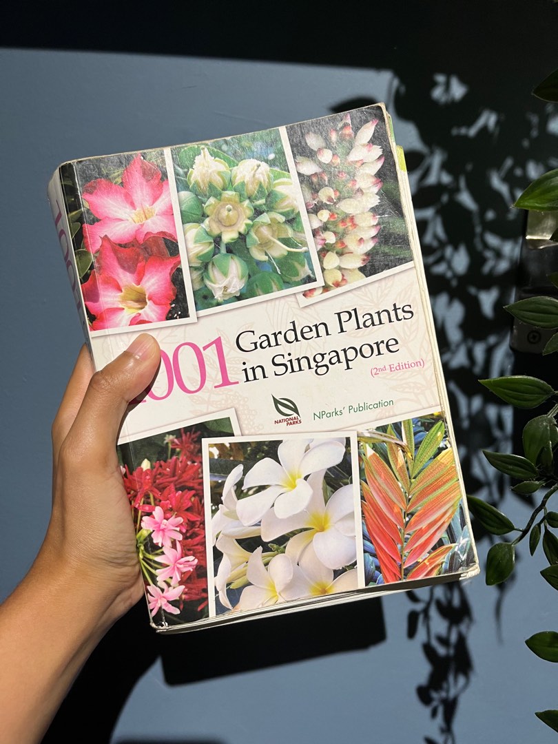 1001_garden_plants_in_singapor_1665737248_11a5a0af