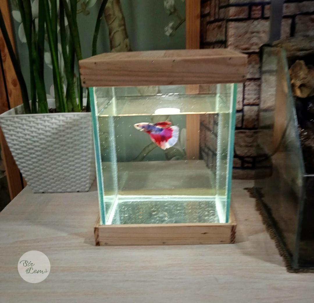 Curated visual reference: Fresh Look at 1 5Gals Compact Aquarium Enclosure Elegant Design Thick Glass W