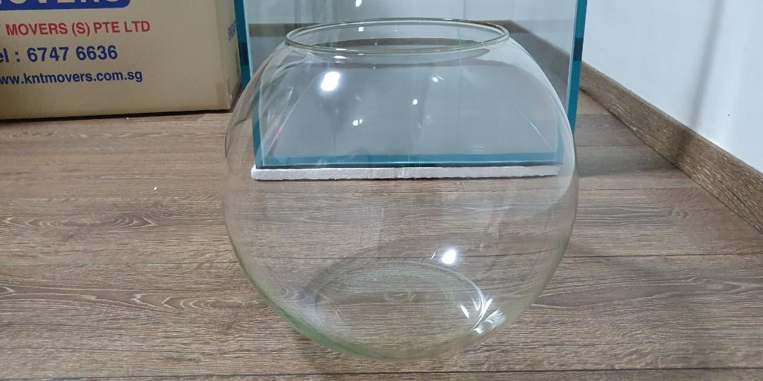 30Cm Fish Bowl, Pet Supplies, Homes & Other Pet Accessories On Carousell