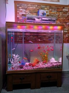 (Category: ) located in . Submitted by edmondlam_ (Listing ID 1190614314, Image 1). Description: .