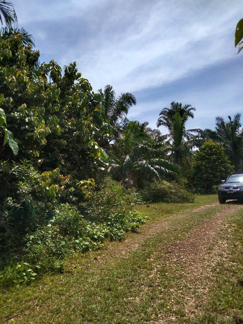 Beside PLUS Highway & potential convert to Petrol Pump Station