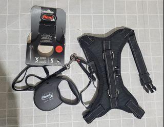 Flexi Retractable Leash